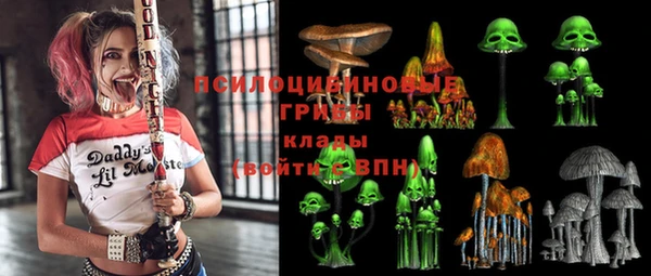 гидра Белокуриха